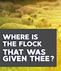 Where is the Flock that was Given Thee?