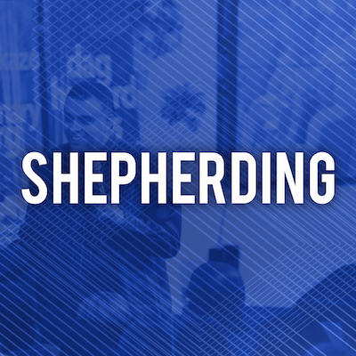 Shepherding